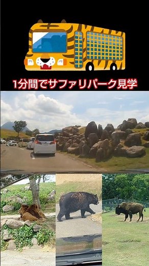 1分間でサファリパーク見学 大分県 動物園