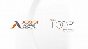 25 reactions | Attention!! We are pleased to introduce our new...