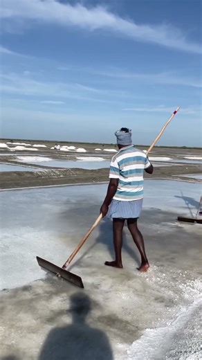 How Edible Salt Is Made from Seawater