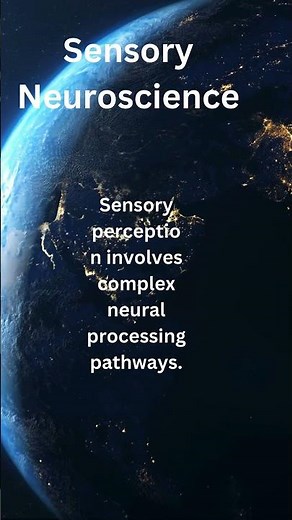 Unveiling the Intricacies of Sensory Perception and Multisensory Integration