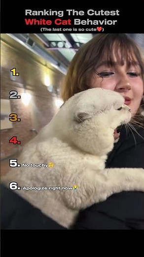 Ranking The Cutest White Cat Behavior🐱🤍 (You Won't Believe No.1)#shorts