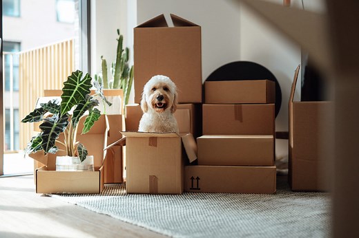 How to organise a house move - your moving house checklist