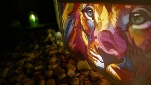 Color Lithophane • 3D Print Guide (2022 Update) • ItsLitho