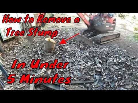 The Complete Guide to Removing a Tree Stump with A Mini Excavator