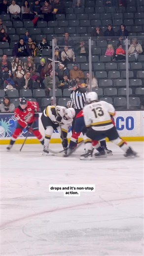 Visit Kingston on Instagram: "🏒🥅🚨 @emdonks scores big at the Frontenacs’ game. With big hits, big goals, and big-time gifts for @kingstonfrontsohl fans. 📍 @slushpuppiepl | 768 Princess St. 🔗 See the @visitkingstonca bio for more places to eat, sights to see, and things to do in Kingston. #KingstonFrontenacs #OHLHockey #SlushPuppiePlace #YGKSports #YGKEvents #YGKLove #KingstonNightlife #FamilyNightOut #KingstonOntario #VisitKingston"