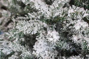 DIY Flocked Christmas Tree: How to Flock Any Christmas Tree the Right Way