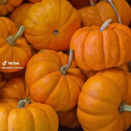 Adorable Puppet Animation Dance with Giant Puppet | Pumpkin & Puppet Sunsunsun