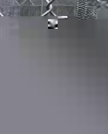 18K views · 201 reactions | Wolves use a variety of vocalizations to communicate with pack-mates and other wolves. Barking is used as an alarm, alerting pack members of potential danger. Along with a bark-howl, barking can also be a display of aggression in defense of their pack and/or territory. This short clip of one of our wolves captures this barking/bark-howl behavior! | Wildlife Science Center | Facebook