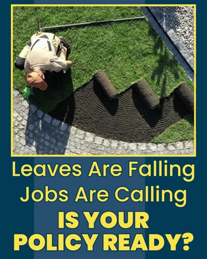 🍂 Landscapers & Tree Pros: Fall cleanup can bring in business—make sure your insurance covers every job! (276) 935-2991 | Mutter Insurance Agency