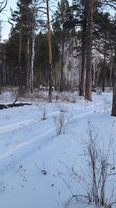 Tsetseg Tsetseg on Reels