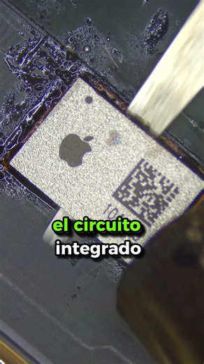 iPhone 12 Pro max reel sin musica