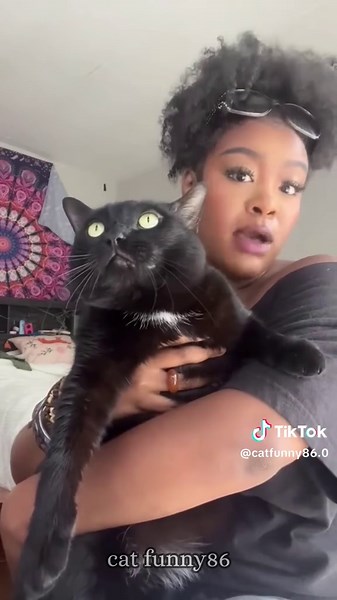 Cats can understand English.🤣🥰😼#foryou #catsoftiktok #funnycats #cute #usa🇺🇸