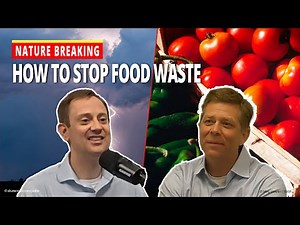 Food Waste Solutions: Expert Tips to Keep Food Out of Landfills and Save Money