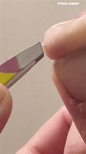 Python bit me… thought it was nothing. Then I pulled THIS tooth out of my finger. Wait ‘til you see how deep it was buried. | Python Cowboy Hunts