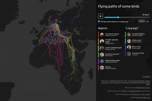 An interactive map of migrating birds - Benjamin Becquet
