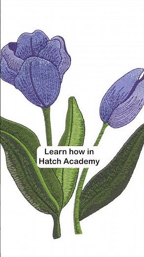 What does Hatch Embroidery software do?