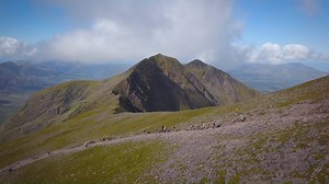 178 reactions · 67 shares | Highlights from the first ever Quest 12/24 featuring awesome participants on a jaw-dropping route. A test like no other... | Quest Ireland | Facebook