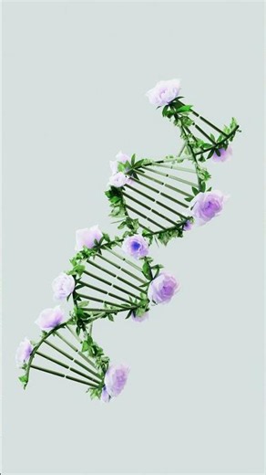 Launching GCSE Science explained
