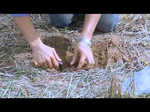 How to measure bulk density