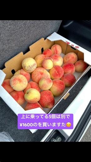 その⑦ 2026/7/11 あら川の桃 買いに 紀の里 ファーマーズマーケット めっけもん広場 行ってきた アトノマツリ