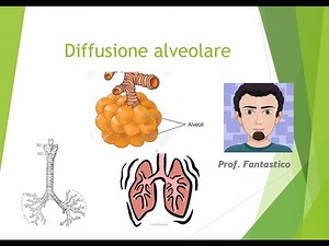 Diffusione alveolo capillare