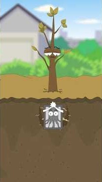 Why do transplanted apple trees wither and die after sprouting?#short
