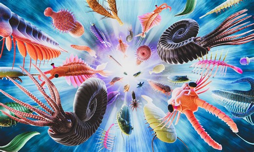 What Is the Cambrian Explosion, and Why Does It Matter?
