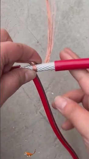 Cable branch line coiling process