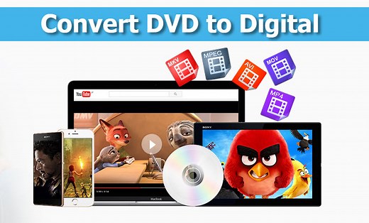 7 Best Ways to Convert DVD to Digital 2025 (Free and Paid)