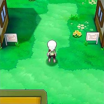 Pokémon Omega Ruby • #gameplay