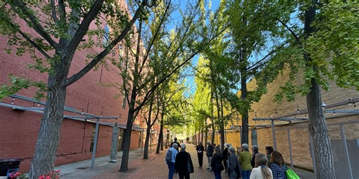 Taubman adds walking tours to discover art & architecture