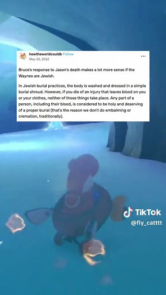 Understanding Robin's Journey in the DC Universe