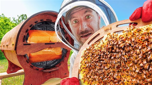 Inside the World’s First See-Through Beehive