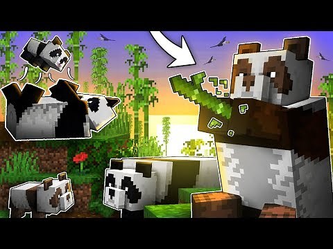 Everything You Need To Know About PANDAS In Minecraft!