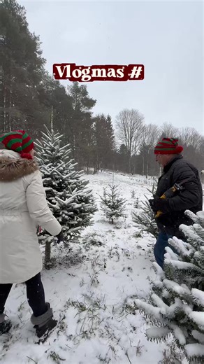 Empezaron mis vlogs favoritos, los de navidadddd❤️🎄🙌🏻 #volgmas #navidad #arbol #christmastree