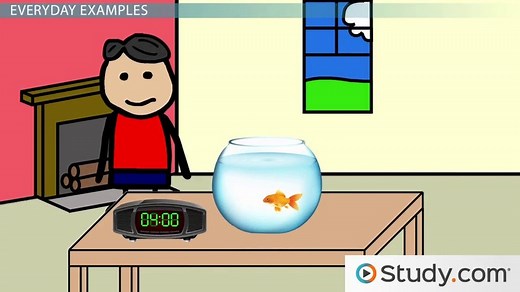 Fixed Interval Reinforcement | Definition, Schedule & Examples
