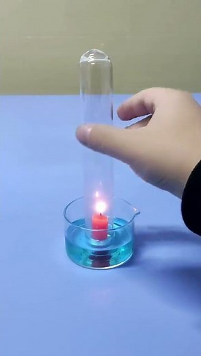 The Water Absorption Test Tube Experiment #waterabsorption #scienceexperiment #capillaryaction