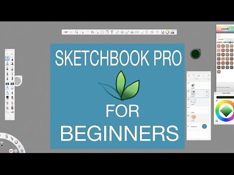SKETCHBOOK PRO | Tutorial For Beginners/ New Users