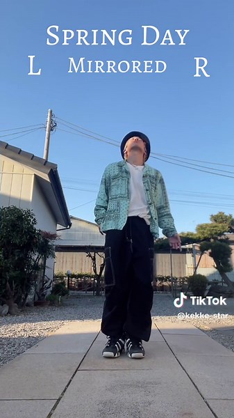 BTS 'Spring Day' Dance Tutorial - Mirror Version