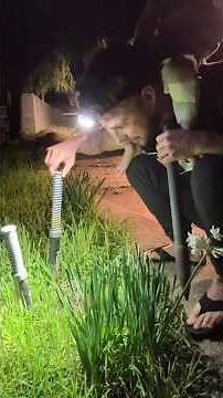 Trap Set for 3 hours — Setting and Getting with the GopherHawk 025