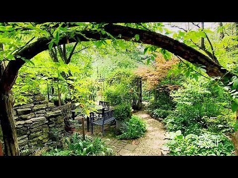Colorful Woodland Garden, Berea, USA