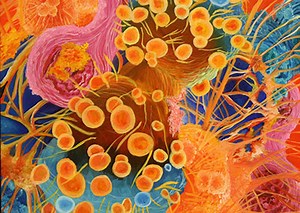 Grade 5 | Cells Celebrate!