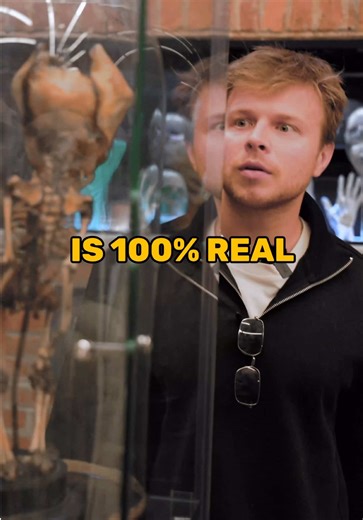 Off The Ladder: Unlocking Career Success with BONES