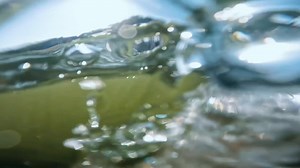 23K views · 157 reactions | Around 250,000 golf balls collected in 2️⃣ years ⛳️ The 20-foot container is equipped with real-time tracking technology, allowing fans to follow its journey across land and sea  | DP World Tour Championship | Facebook