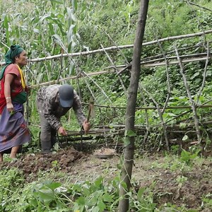 105K views · 890 reactions | How villagers eat food together in the village. | Village Lifestyle | Facebook