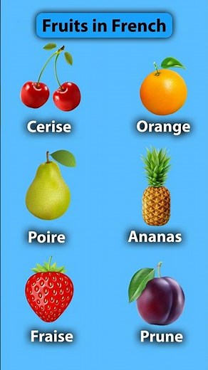 French Language Lessons For Beginners | French Tutor Online