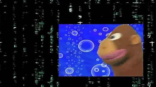 Baby Einstein Collection - World Animals