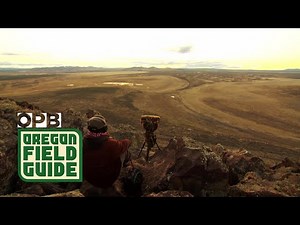 Distilling Pacific Northwest nature and solitude into sound