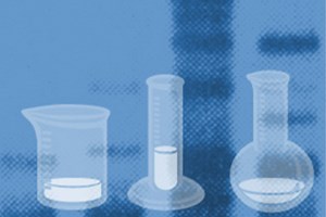 Create a DNA Fingerprint