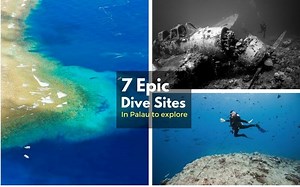 Palau Dive Sites & Conditions Guide | Best Times to Dive